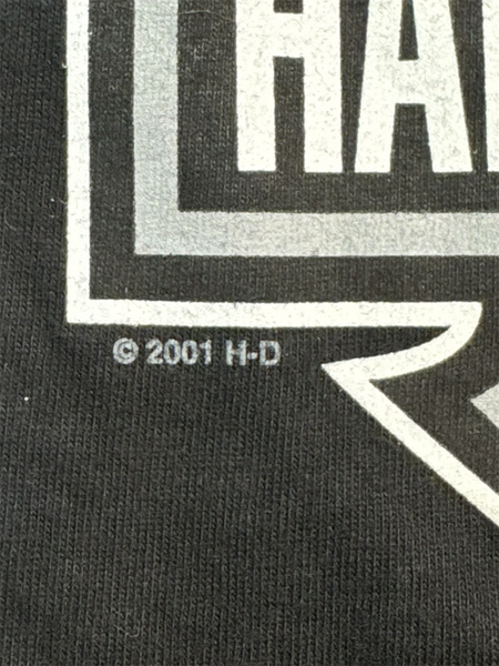 Vintage 2001 Harley Davidson Daytona Beach tee - L