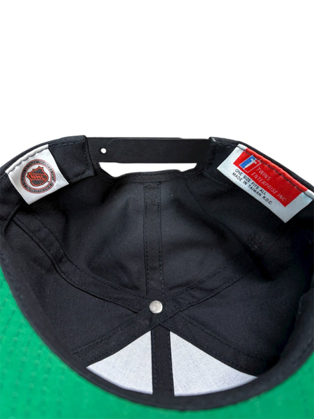 Vintage Twins Enterprise Tampa Bay Lightning snapback hat