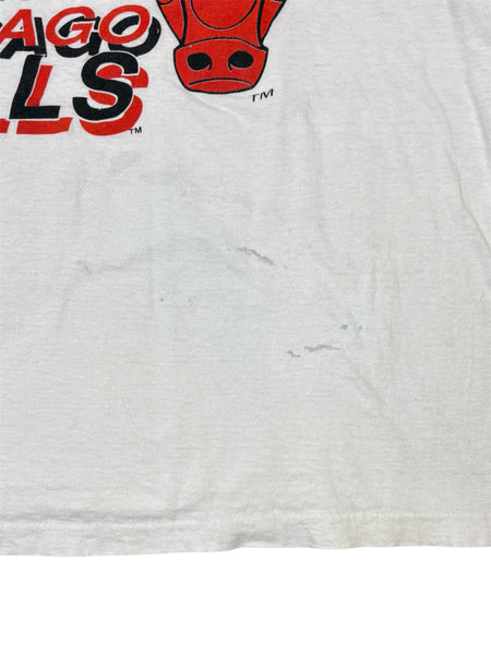 Vintage 1991 Chicago Bulls World Champions tee - L
