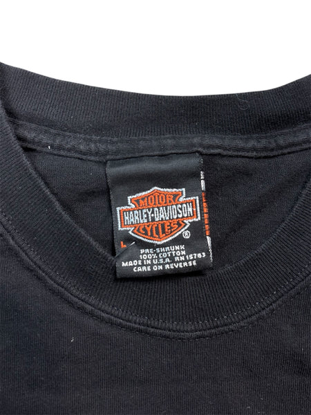 Vintage 2001 Harley Davidson Daytona Beach tee - L