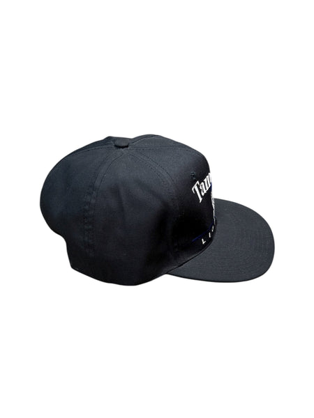 Vintage Twins Enterprise Tampa Bay Lightning snapback hat