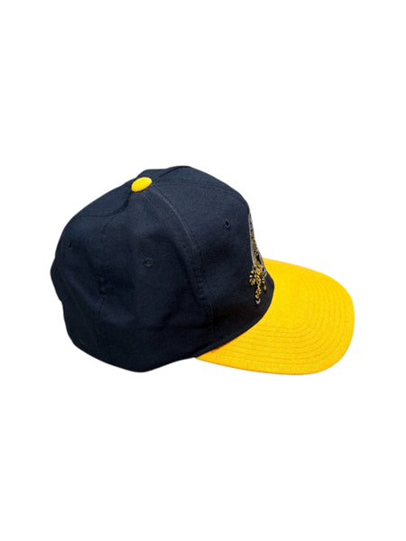 Vintage Starter Hamilton Tiger-Cats snapback hat