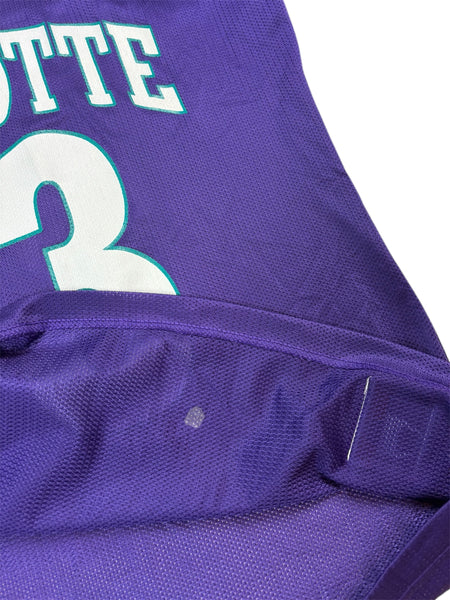 Vintage Champion Charlotte Hornets Alonzo Mourning jersey - L